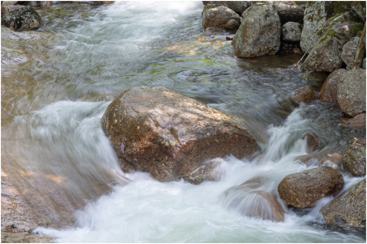 DeCristofaro Janet Flume Gorge NH AssignedSubject   Motion Photography 20251008